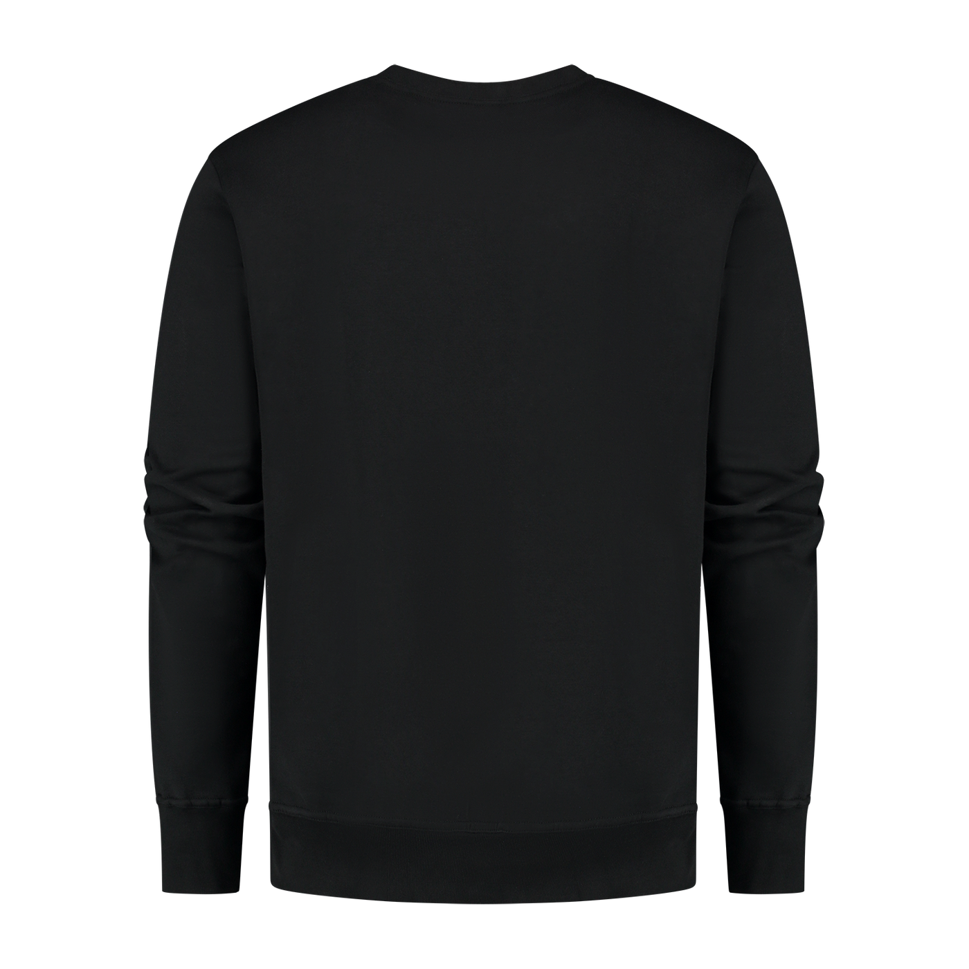 Viridian-Sweatshirt-Back